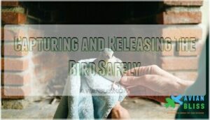 capturing and releasing the bird safely capturing and releasing the bird safely