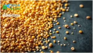 carbohydrates and energy needs