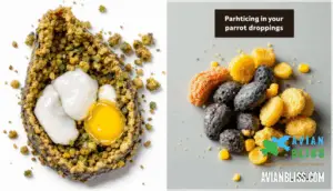 changes in droppings and behavior