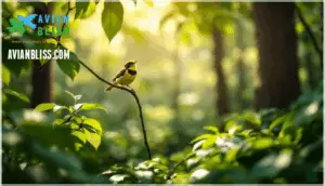 chestnut-sided warbler behavior
