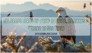 colorado birds of prey