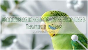 common beak infections