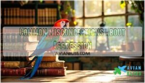 common misconceptions about aggression