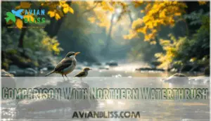 comparison with northern waterthrush