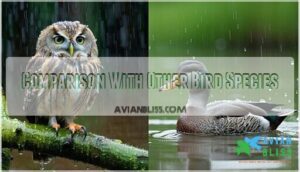 comparison with other bird species