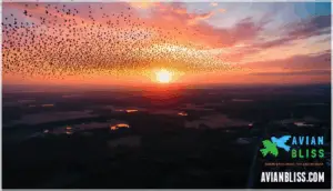 conservation and climate change effects