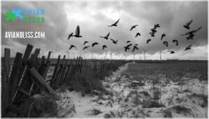 conservation and ecological importance