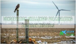 conservation challenges for migrating american kestrels