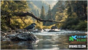 conservation efforts and advocacy