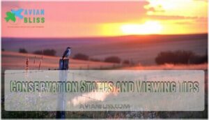 conservation status and viewing tips