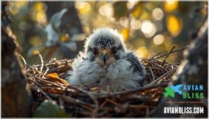 covered in white or grey fluffy down feathers