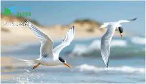 differences from similar species differences from similar species