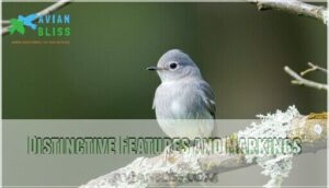 distinctive features and markings