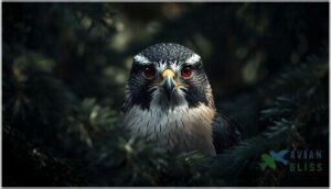 distinctive features (eyes, eyebrows)