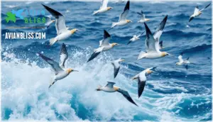 distinctive features in flight