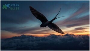 distinctive flight pattern