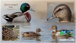 distinctive markings and coloration