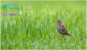 distinguishing features