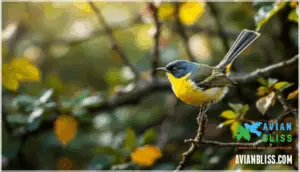 distinguishing features