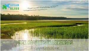 duck habitats in arkansas