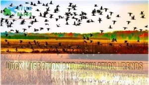 duck migration and population trends