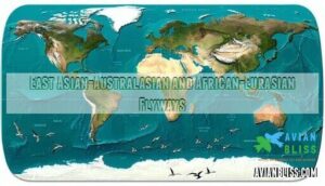 east asian-australasian and african-eurasian flyways