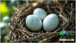 factors affecting pigeon egg incubation and hatching