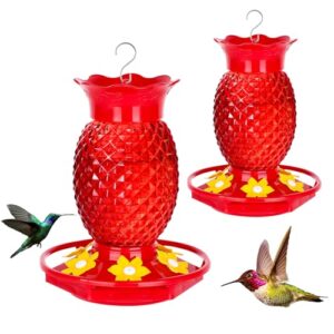 Fchstaer Glass Hummingbird Feeders for B0DTTF284C