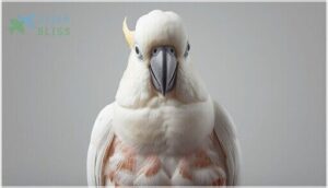 feather abnormalities and beak deformities