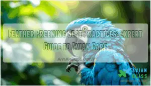 feather preening best practices feather preening best practices