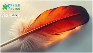 feather structure and anatomy