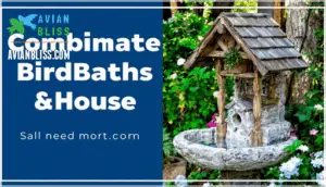 features to compare when buying combos