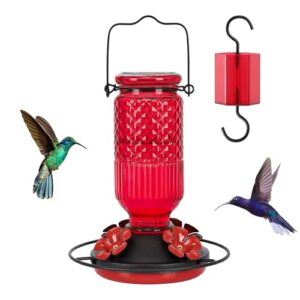 FEED GARDEN Glass Hummingbird Feeder B0CQX8B5K9