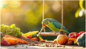 feeding your parakeet a balanced diet