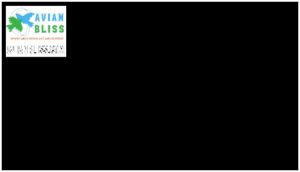 female and juvenile plumage