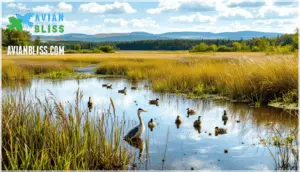 finding the best birdwatching locations