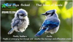 fledgling vs. juvenile appearance