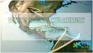 genetic insights into american kestrel migration