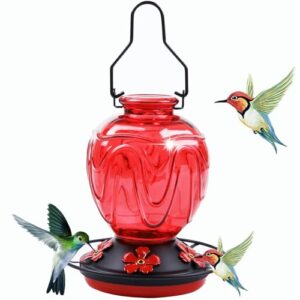Glass Hummingbird Feeder for Outdoors B0DR81FWCS