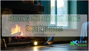 guiding the bird out using safe methods guiding the bird out using safe methods