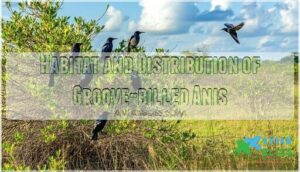 habitat and distribution of groove-billed anis