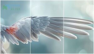 healing stages of a sprained bird wing healing stages of a sprained bird wing