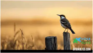 historical context and name change