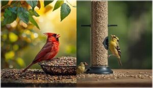 how bird seed choices affect backyard birds