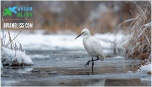 how does standing on one leg conserve heat
