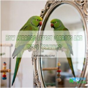 how mirrors affect parrots and their behavior