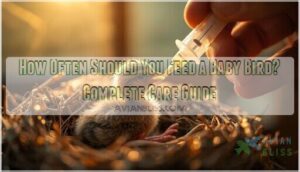 how often should you feed a baby bird how often should you feed a baby bird