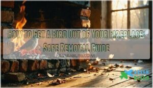 how to get bird out of fireplace how to get bird out of fireplace