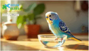 how to introduce bathing to birds