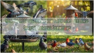 how to keep pigeons away from bird feeders